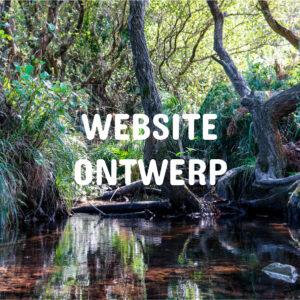 Website Ontwerp button
