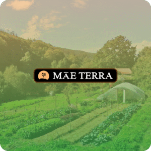 Mae Terre home